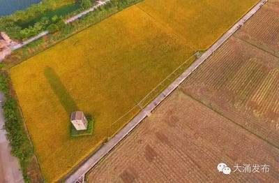 不用自己動手，你也可以擁有自己的田塊和土雞！