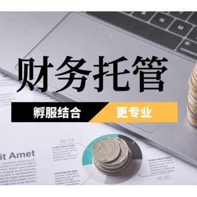 云南臨滄臨翔區注冊公司代辦與財稅咨詢 一站式企業服務解決方案