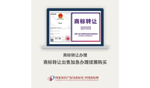 伊寧商標(biāo)注冊(cè)代理服務(wù)選擇指南 如何找到靠譜的代理公司