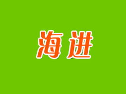 臨渭區(qū)海進(jìn)食品廠開(kāi)啟廣州市場(chǎng)新篇章 代理商李海靜的開(kāi)拓之路與區(qū)域戰(zhàn)略
